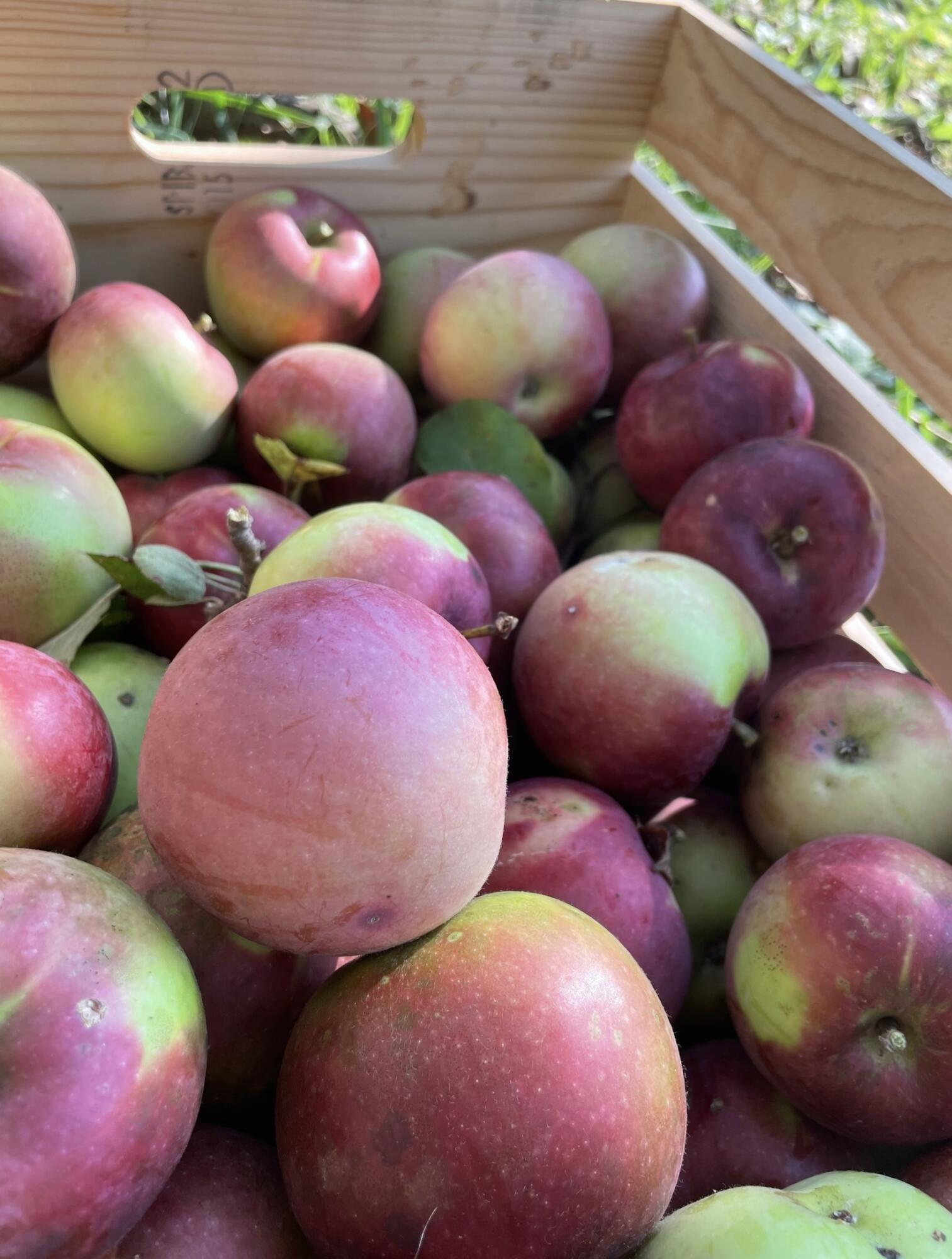 406 Pinnacle Road Canaan ME 04924