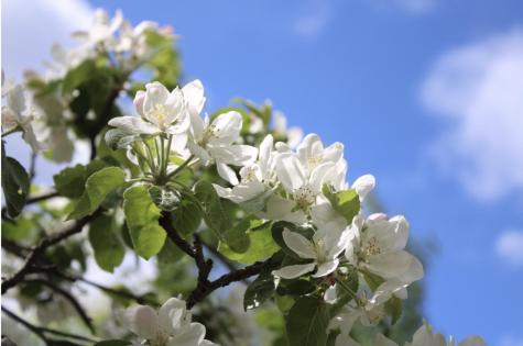 406 Pinnacle Road Canaan ME 04924