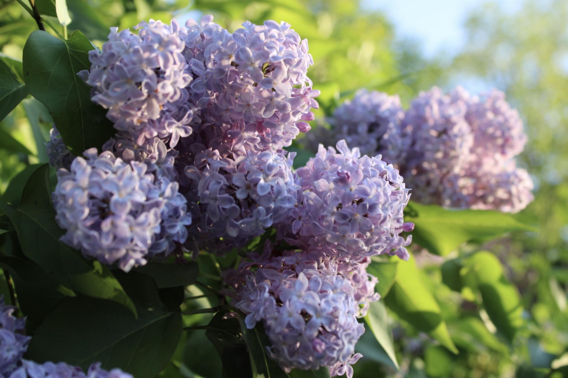 406 Pinnacle Road Canaan ME 04924