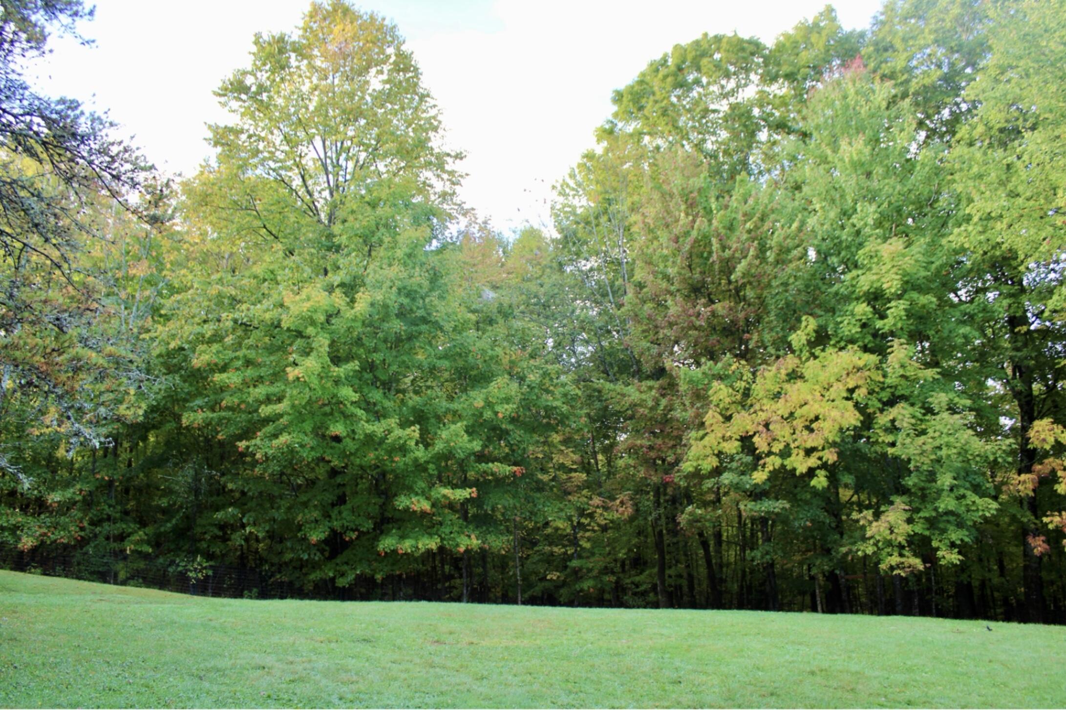 406 Pinnacle Road Canaan ME 04924