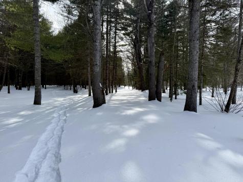 Lot 34 Meadow Wood Drive Brownville ME 04414