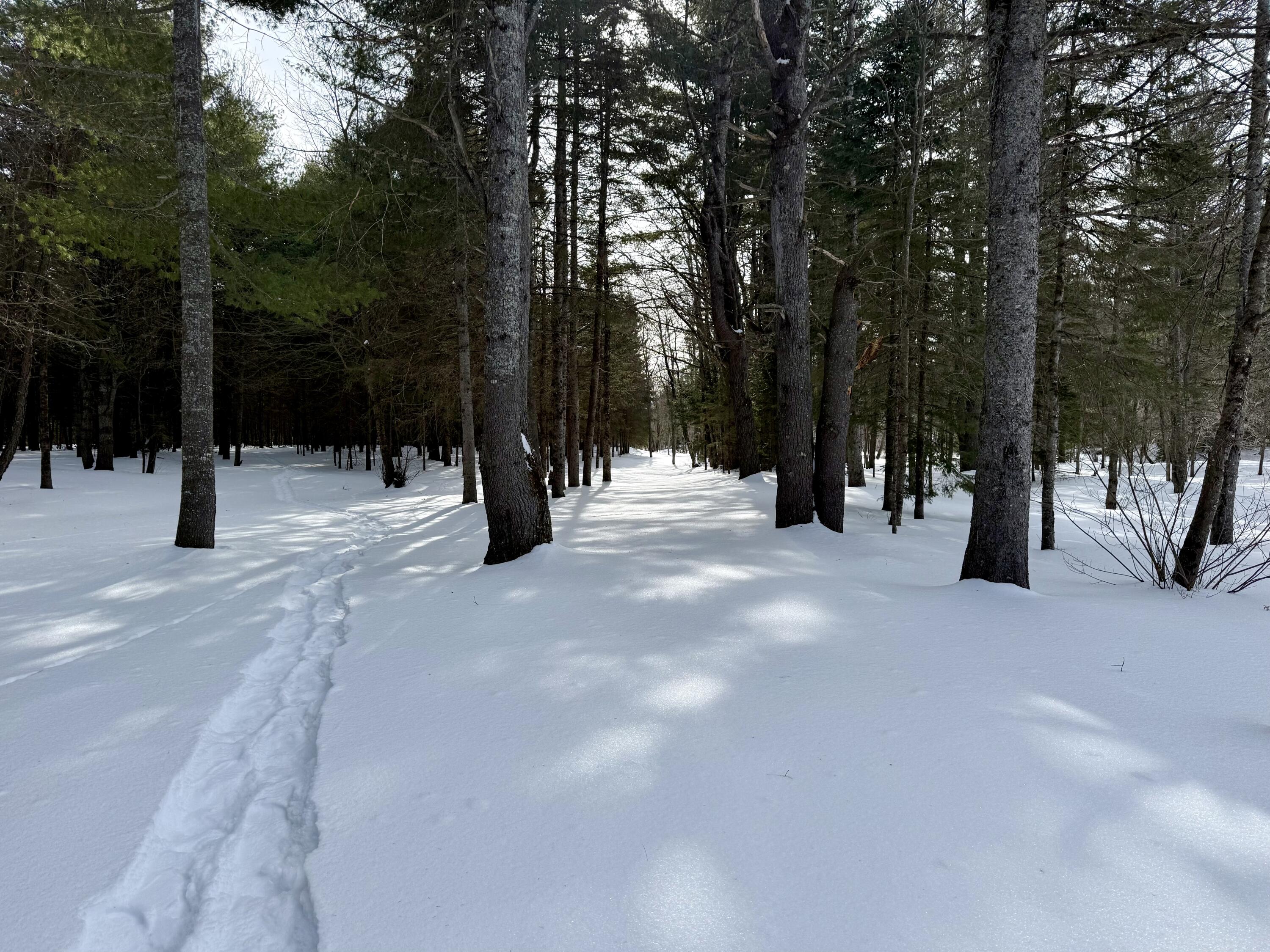 Lot 34 Meadow Wood Drive Brownville ME 04414