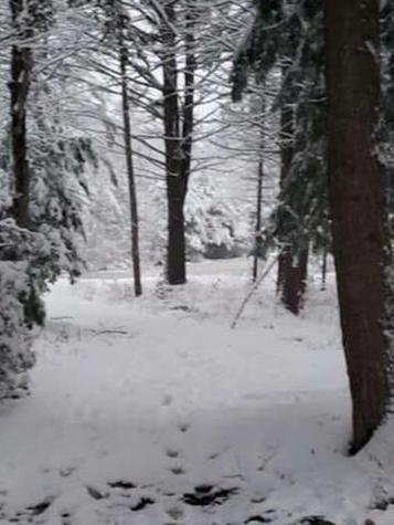 945 Lebanon Road Acton ME 04001
