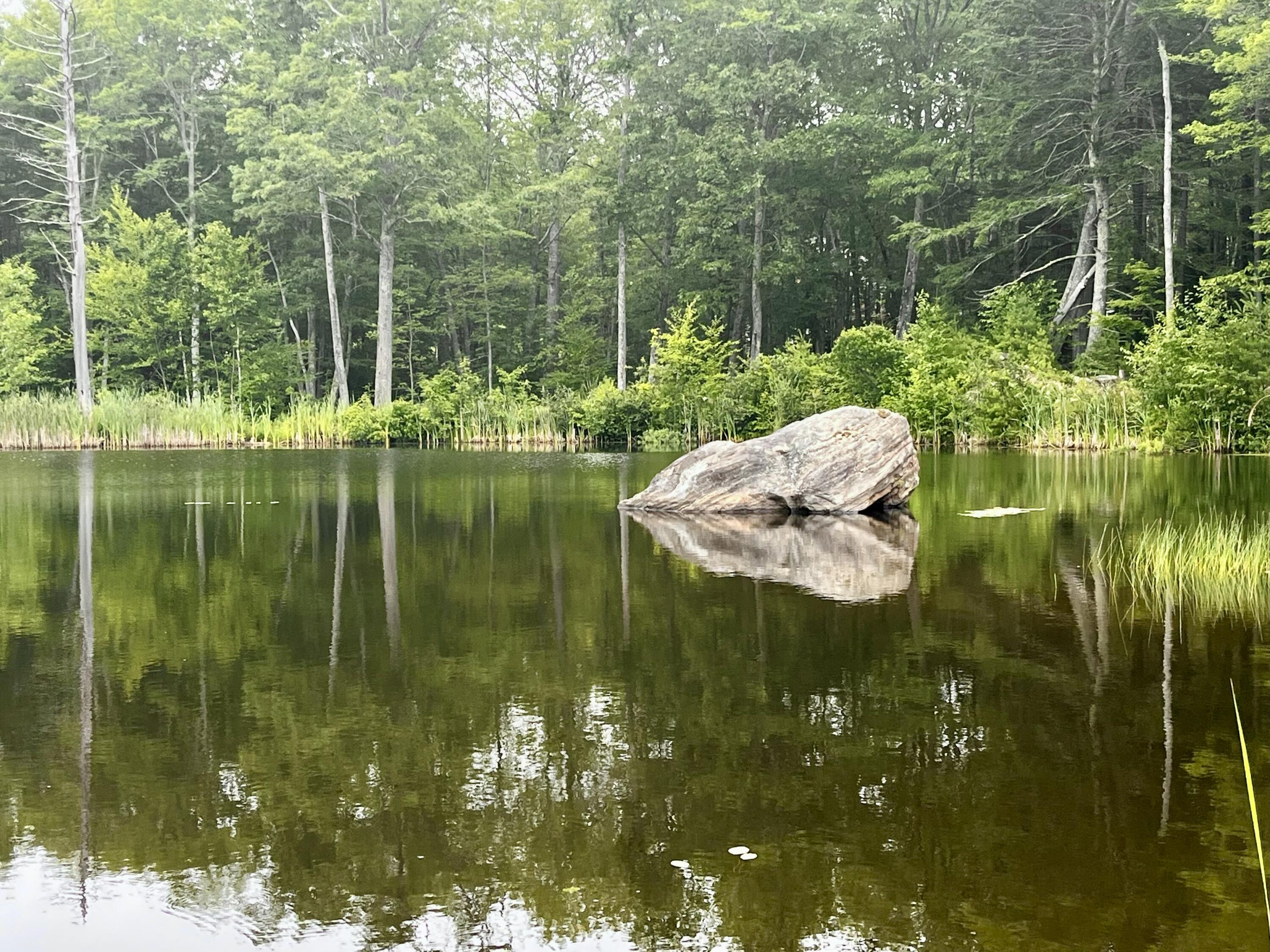 359 Lower Round Pond Road Bristol ME 04539