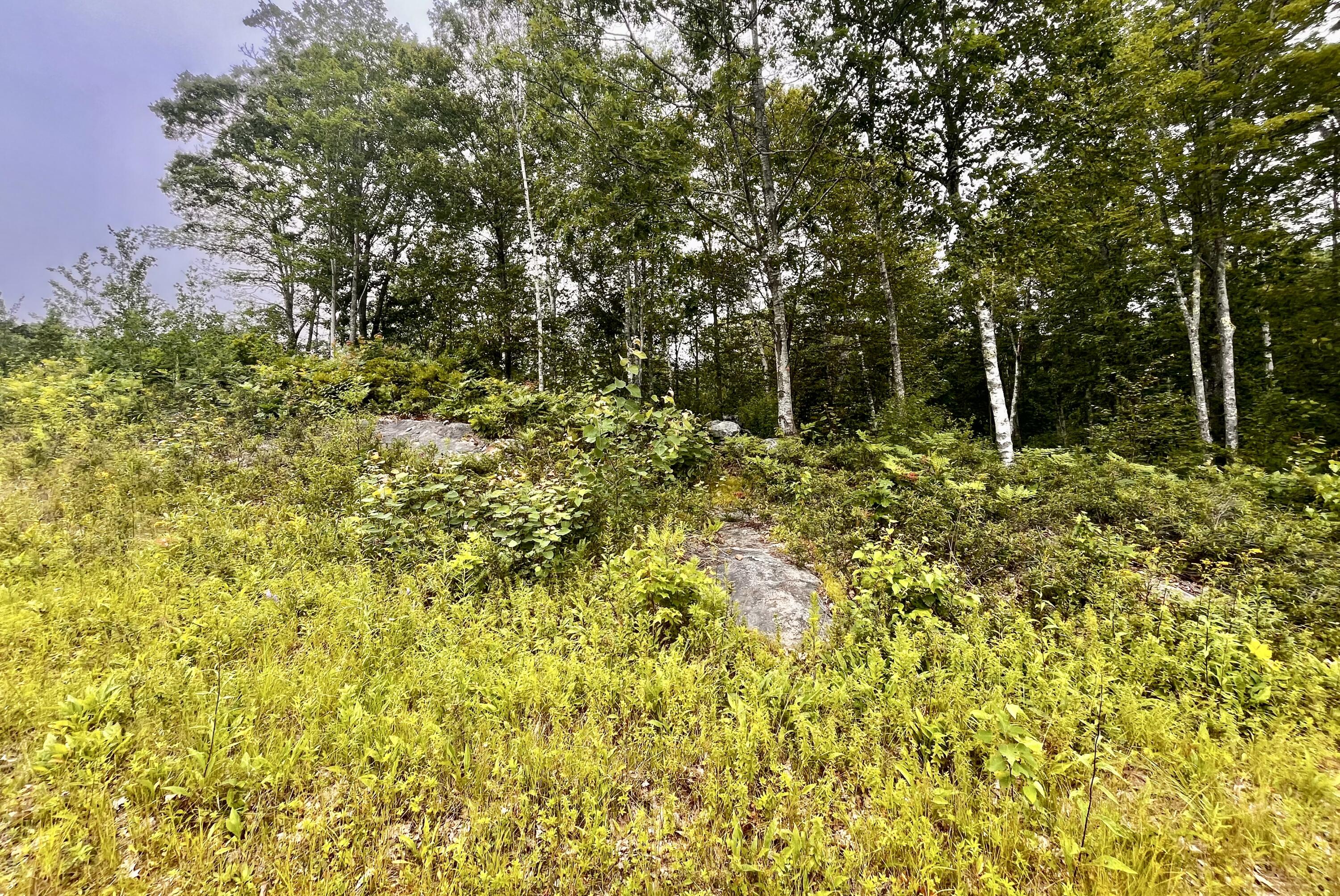 359 Lower Round Pond Road Bristol ME 04539