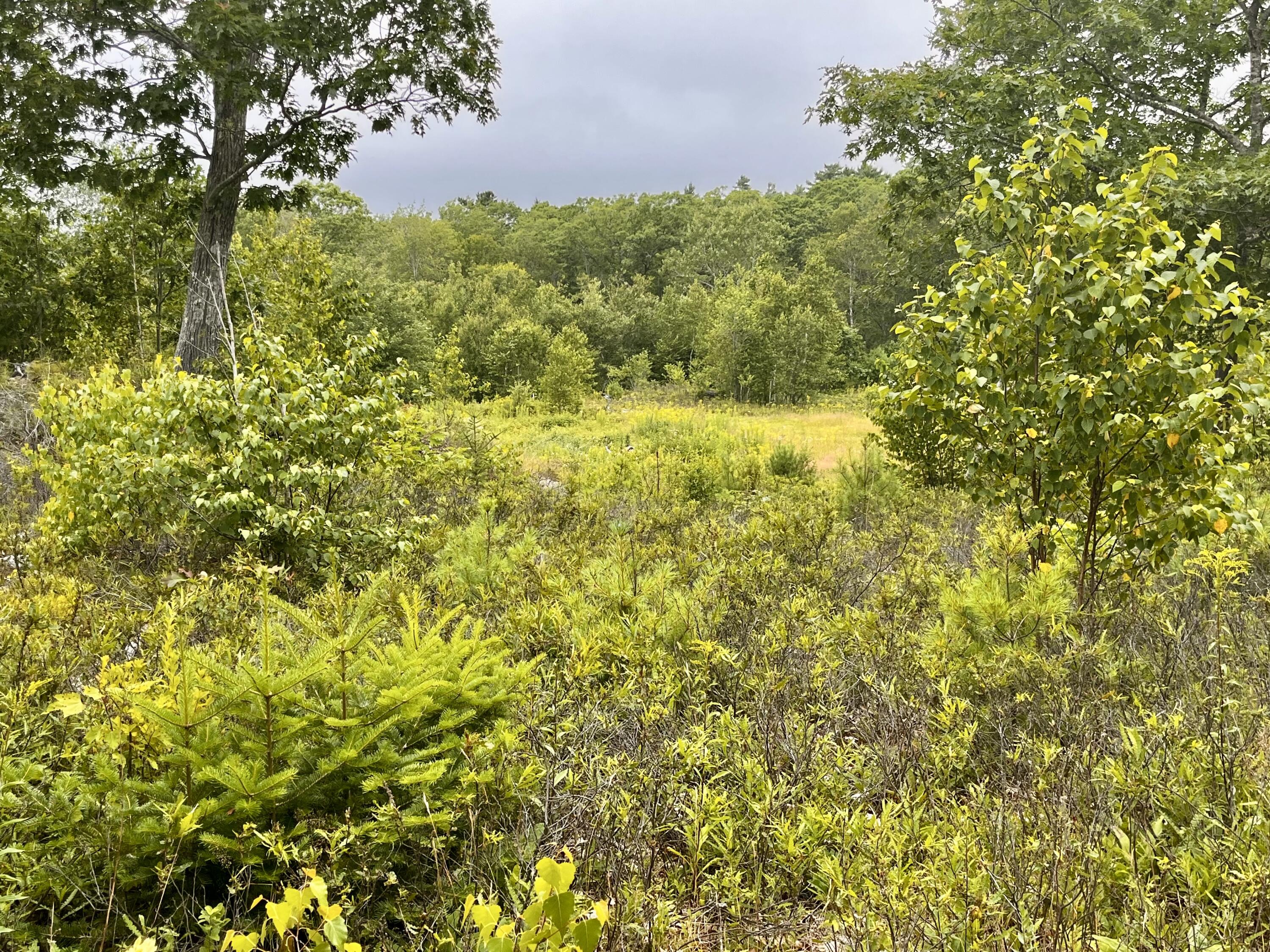 359 Lower Round Pond Road Bristol ME 04539