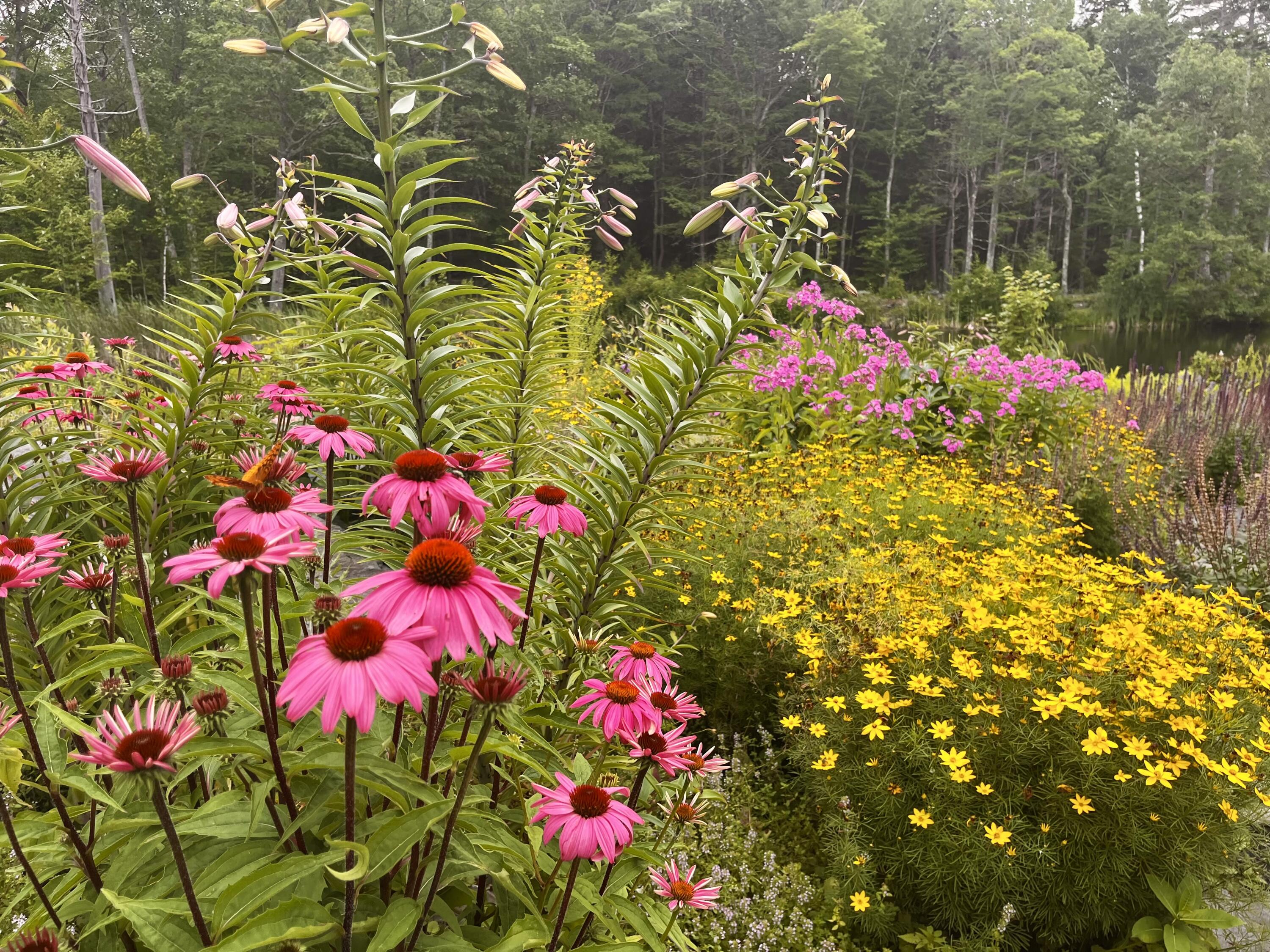 359 Lower Round Pond Road Bristol ME 04539