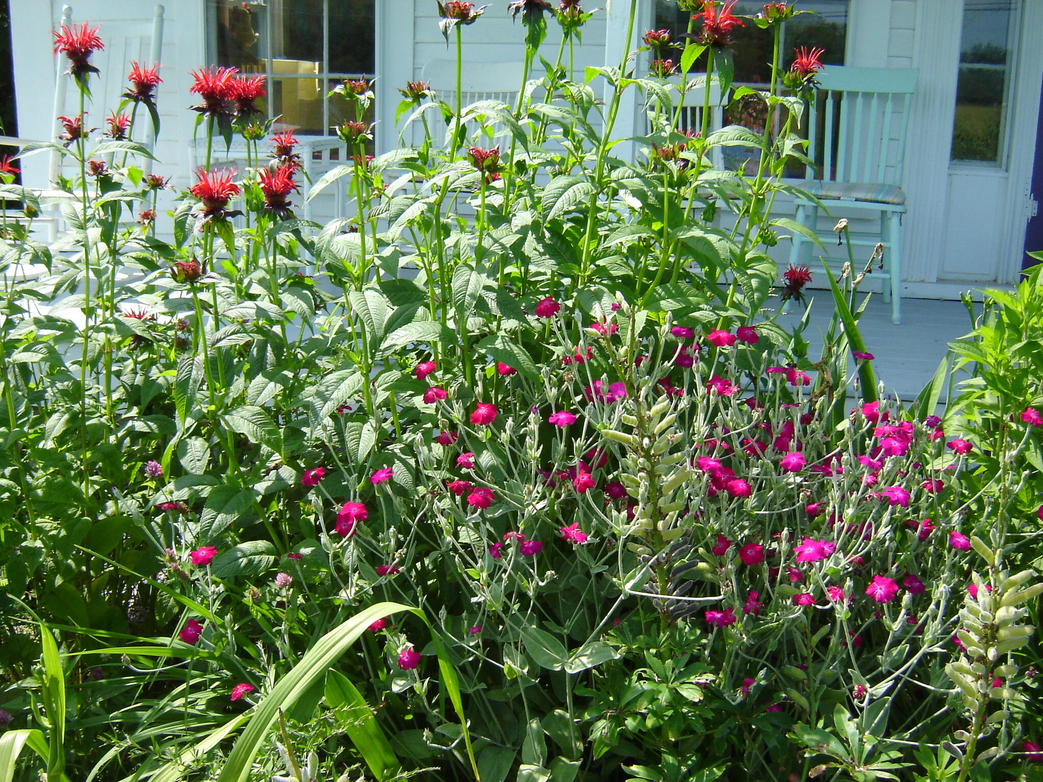 288 Mayberry Hill Road Casco ME 04015