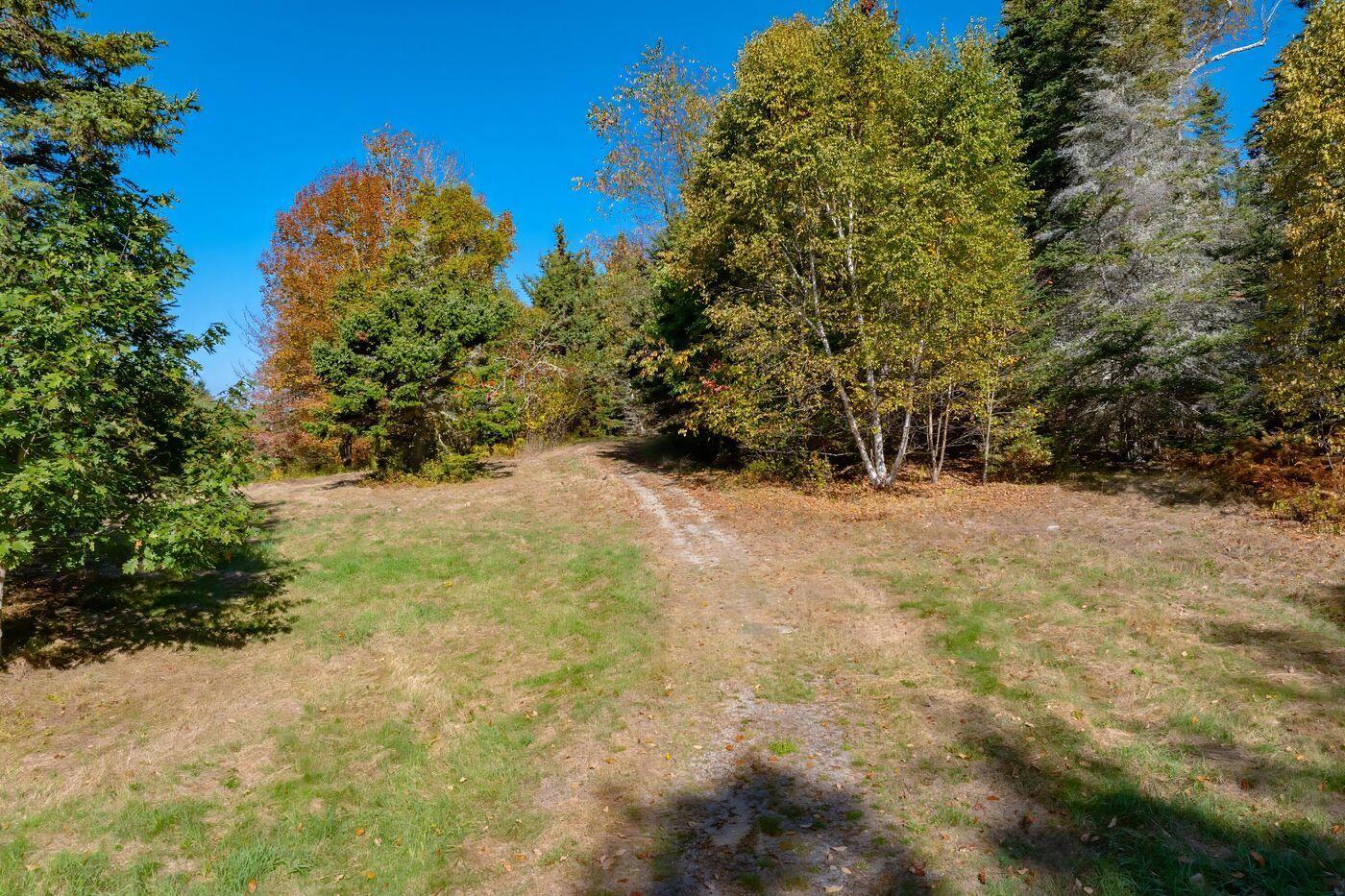 75 Old Cove Lane Brooklin ME 04616