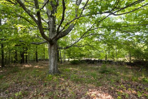 1774 Foxes Ridge Road Acton ME 04001