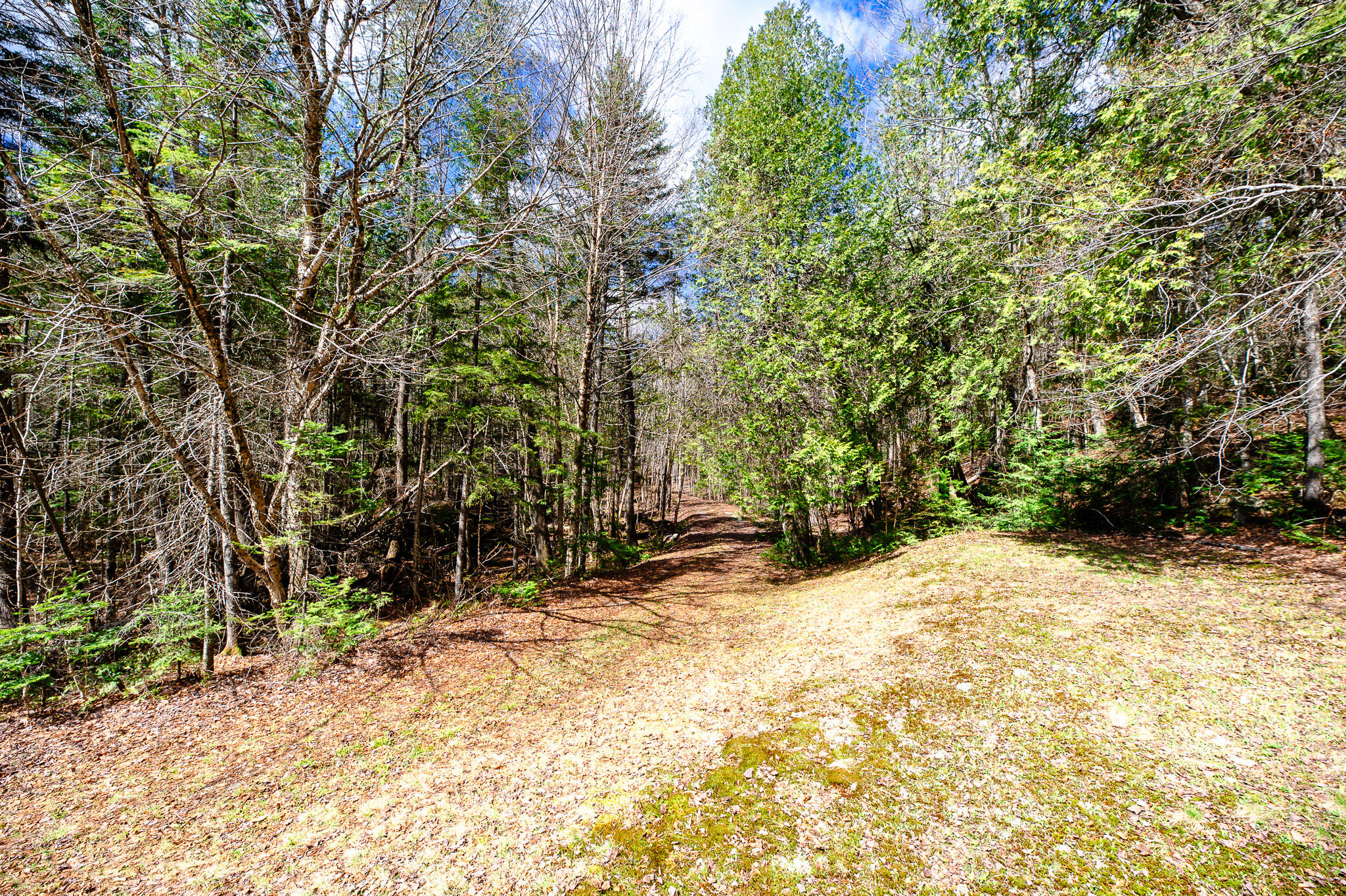 40 Trillium Moor Carrying Place Town Twp, ME