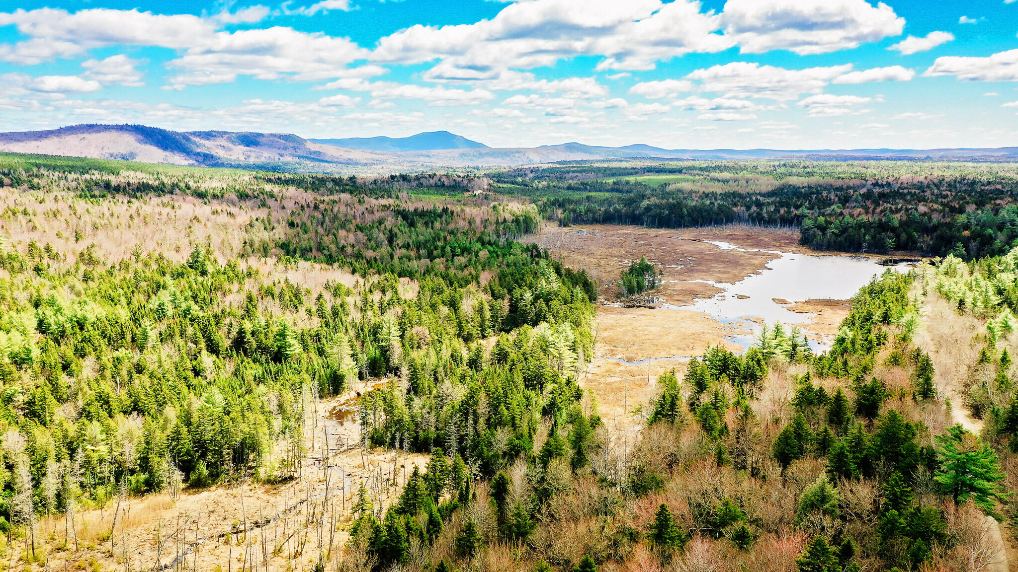 40 Trillium Moor Carrying Place Town Twp, ME