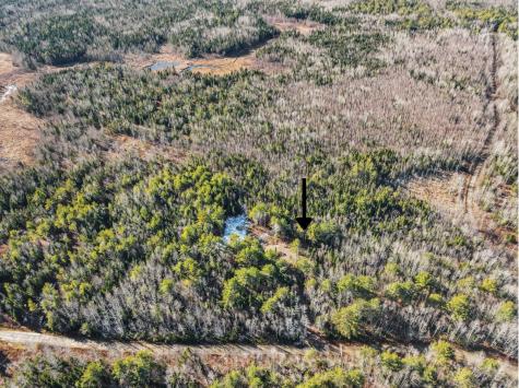 L 44 Bear Run Greenbush ME 04418