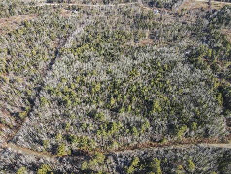 L 44 Bear Run Greenbush ME 04418