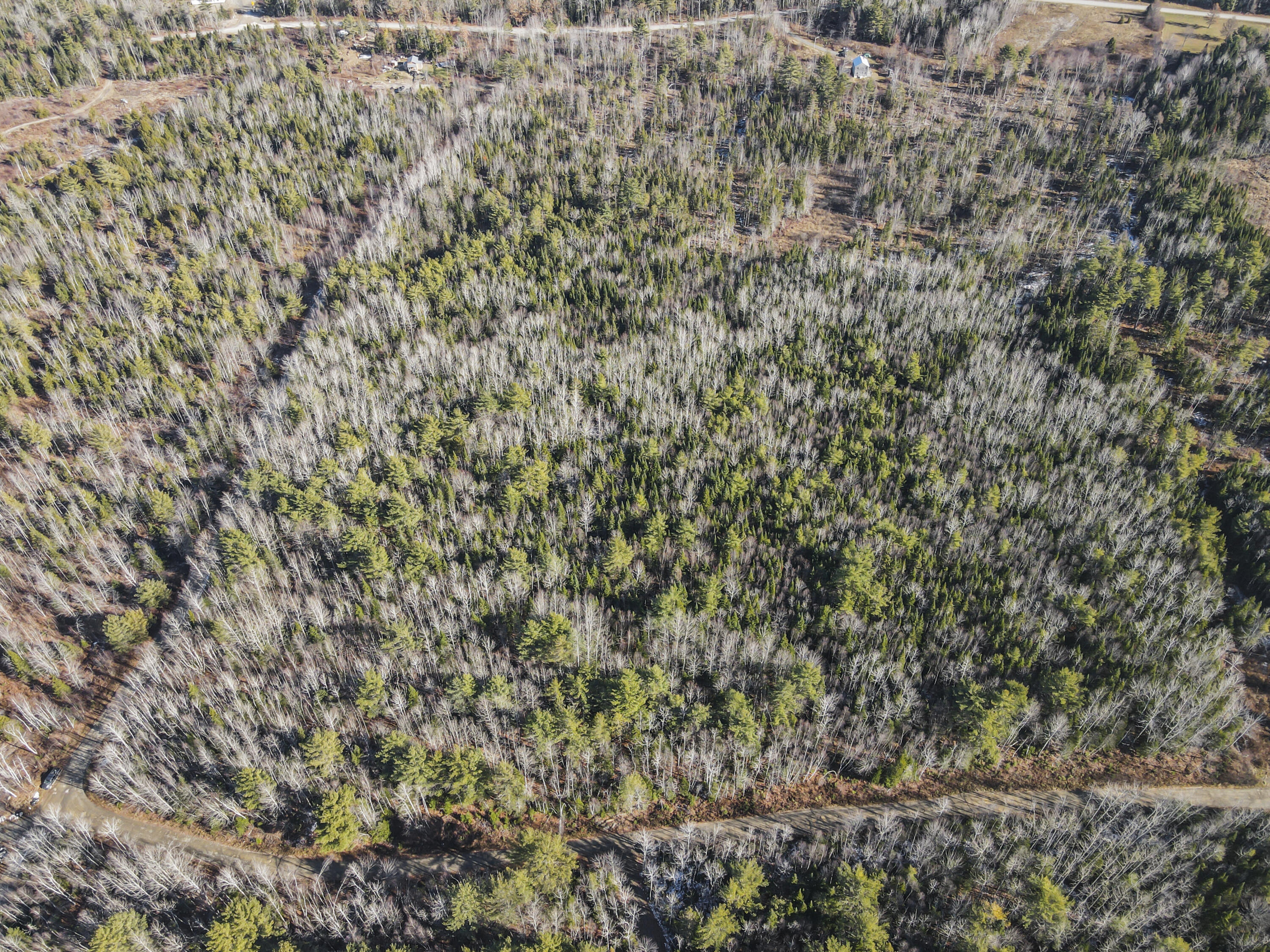 L 44 Bear Run Greenbush ME 04418