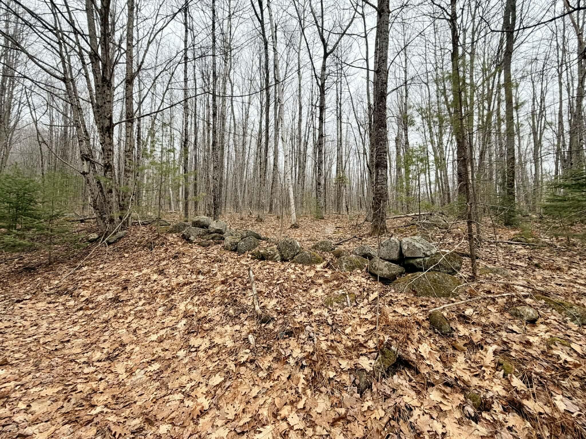 24 Blueberry Hill Road Chesterville ME 04938