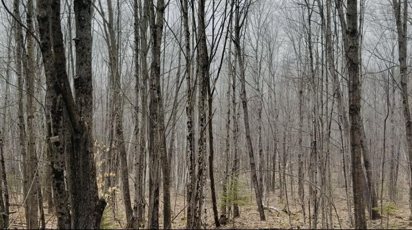 24 Blueberry Hill Road Chesterville ME 04938