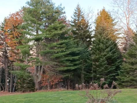 1600 River Road Calais ME 04619