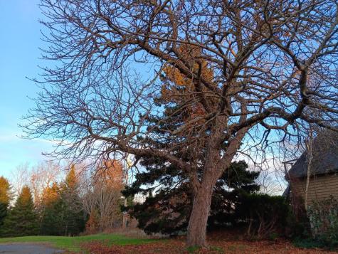 1600 River Road Calais ME 04619