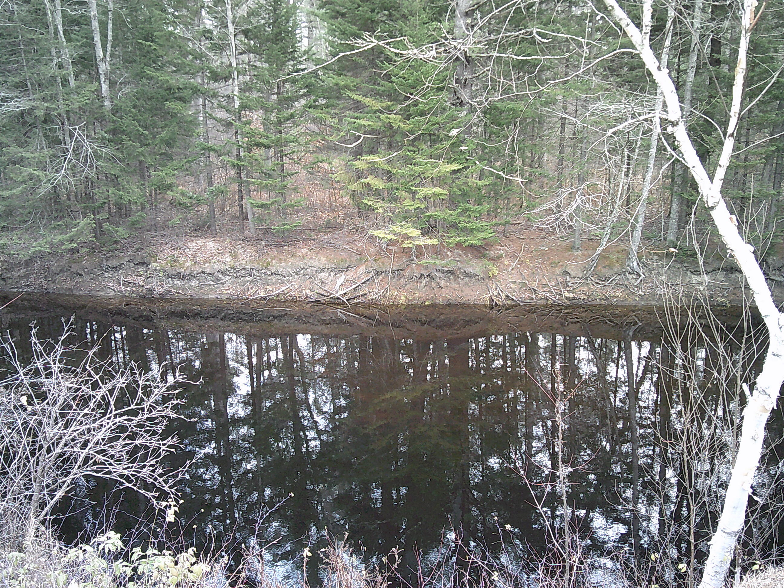 35 Mcintire Road Waterford ME 04088