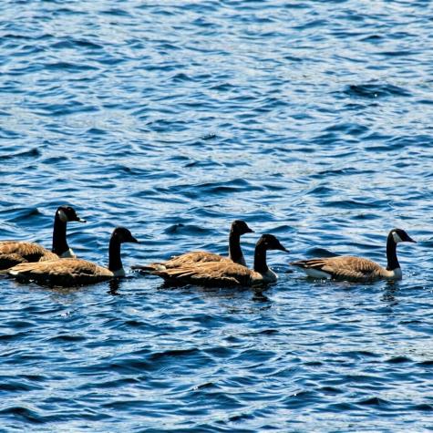 150 Birchwood Road Gray ME 04039