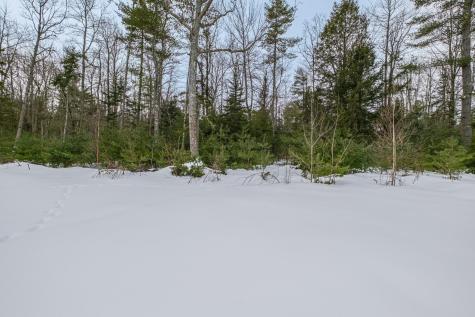 62 Townsend Way Topsham ME 04086