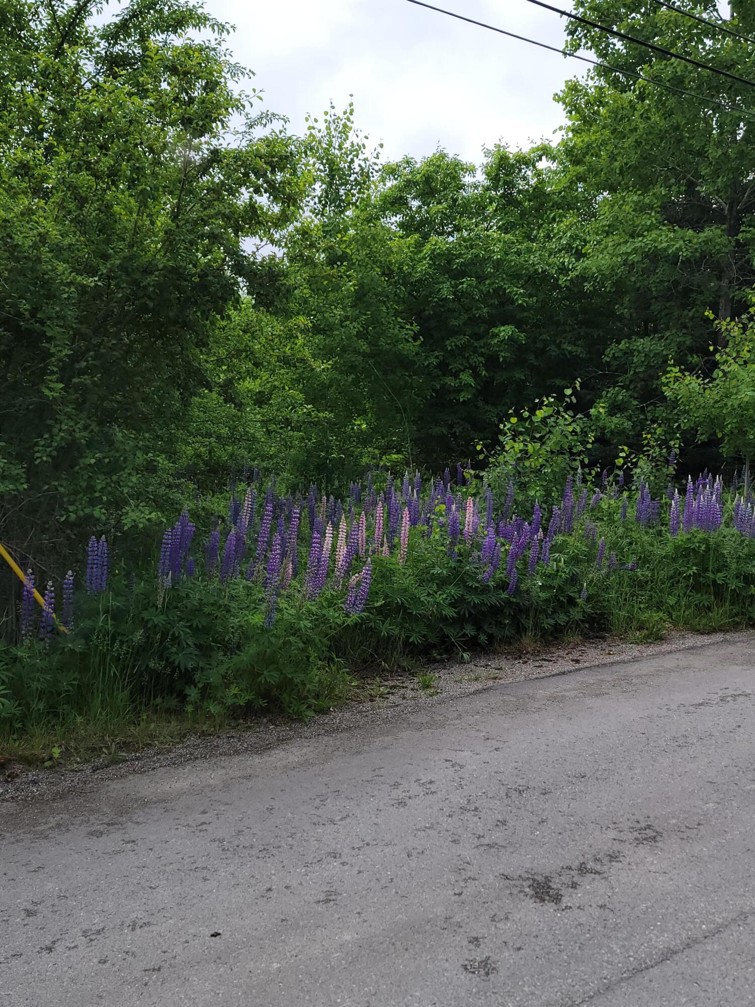 41 Barker Street Calais ME 04619