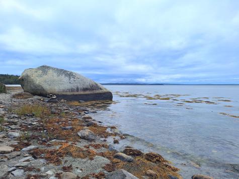 58 Back Shore Road Castine ME 04421