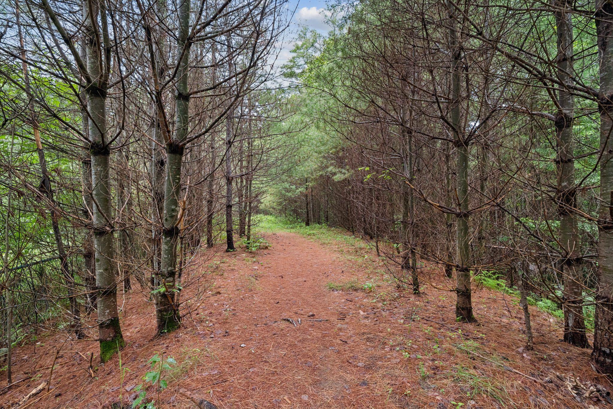 15 Graystone Road Gray ME 04039