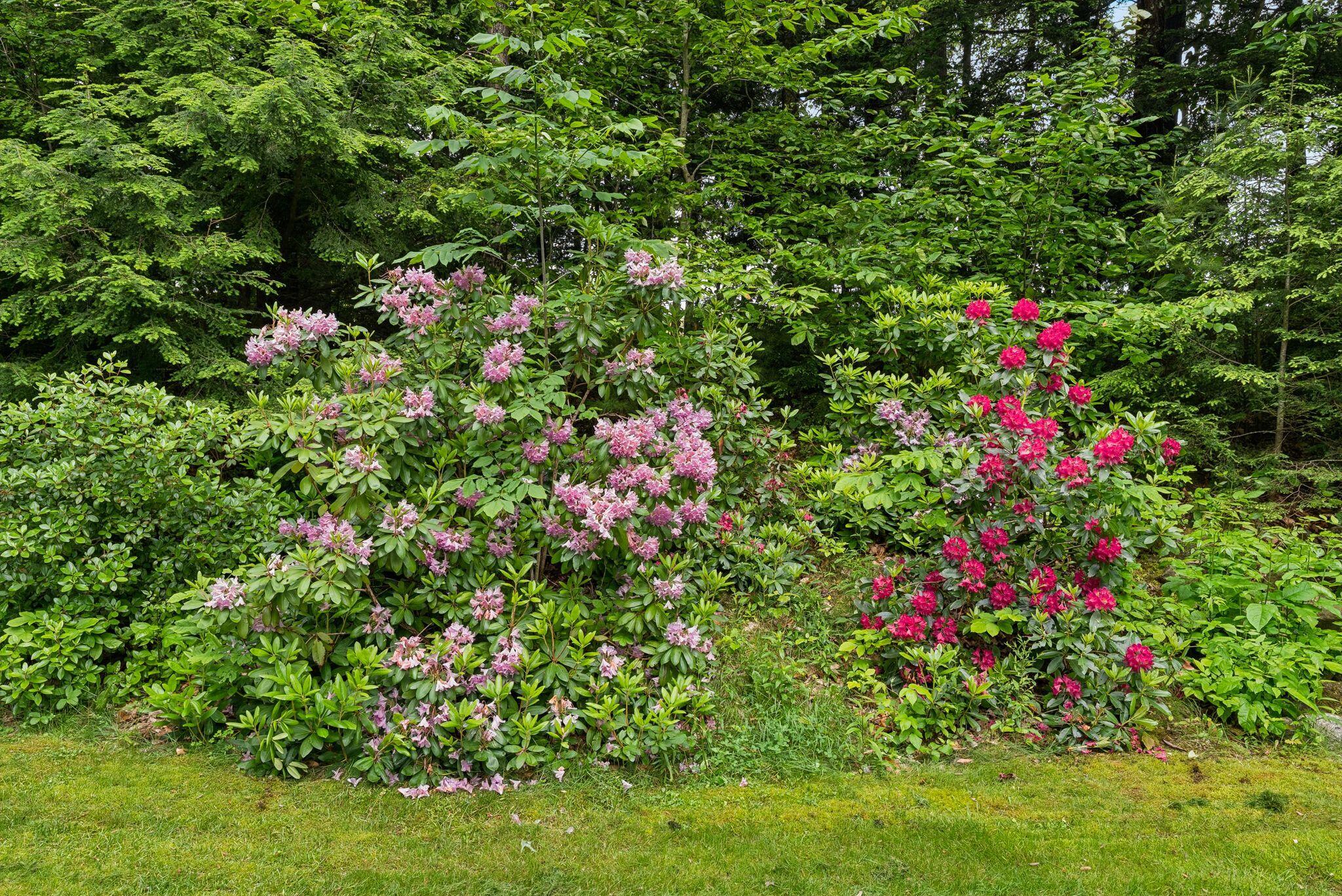 15 Graystone Road Gray ME 04039