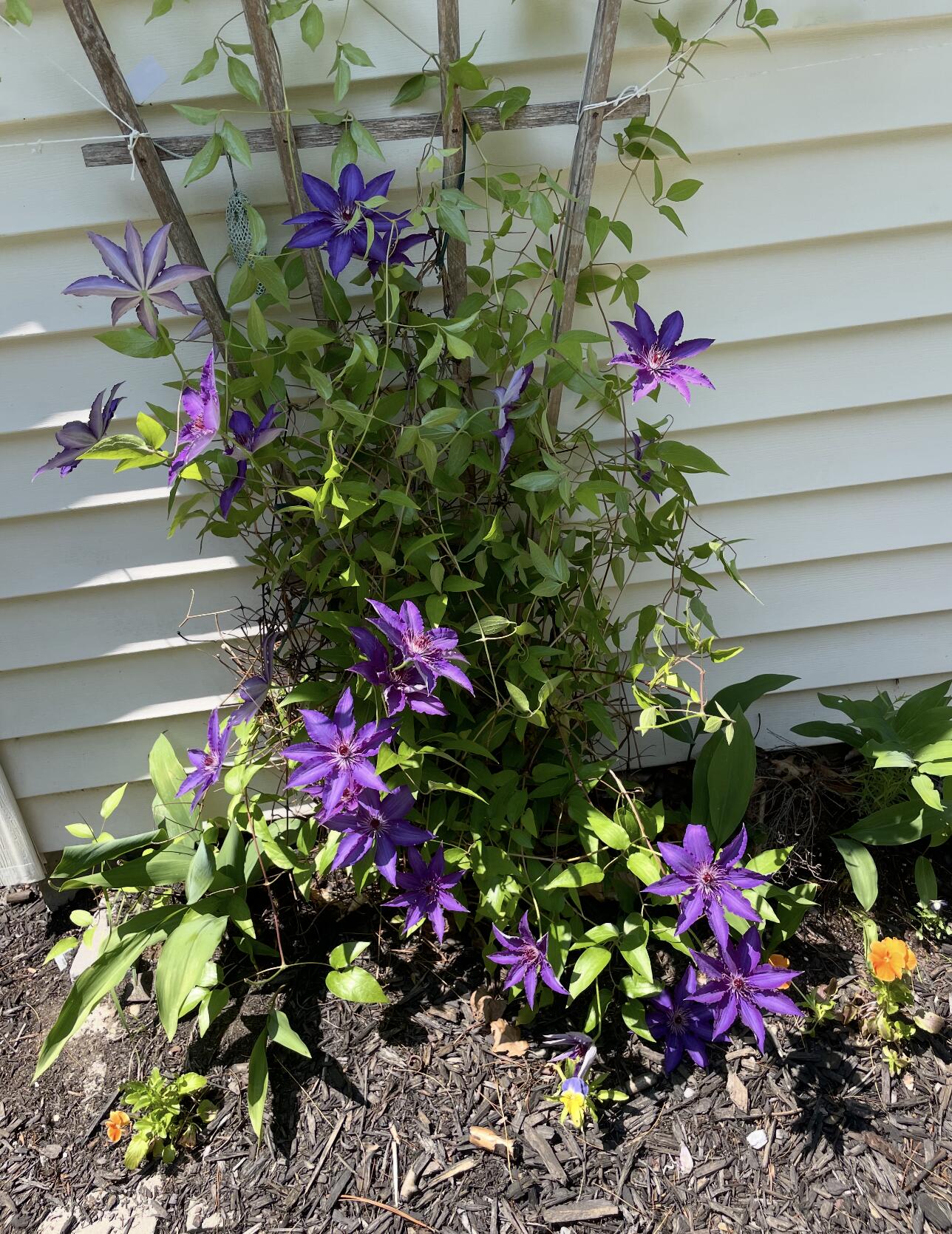 15 Graystone Road Gray ME 04039