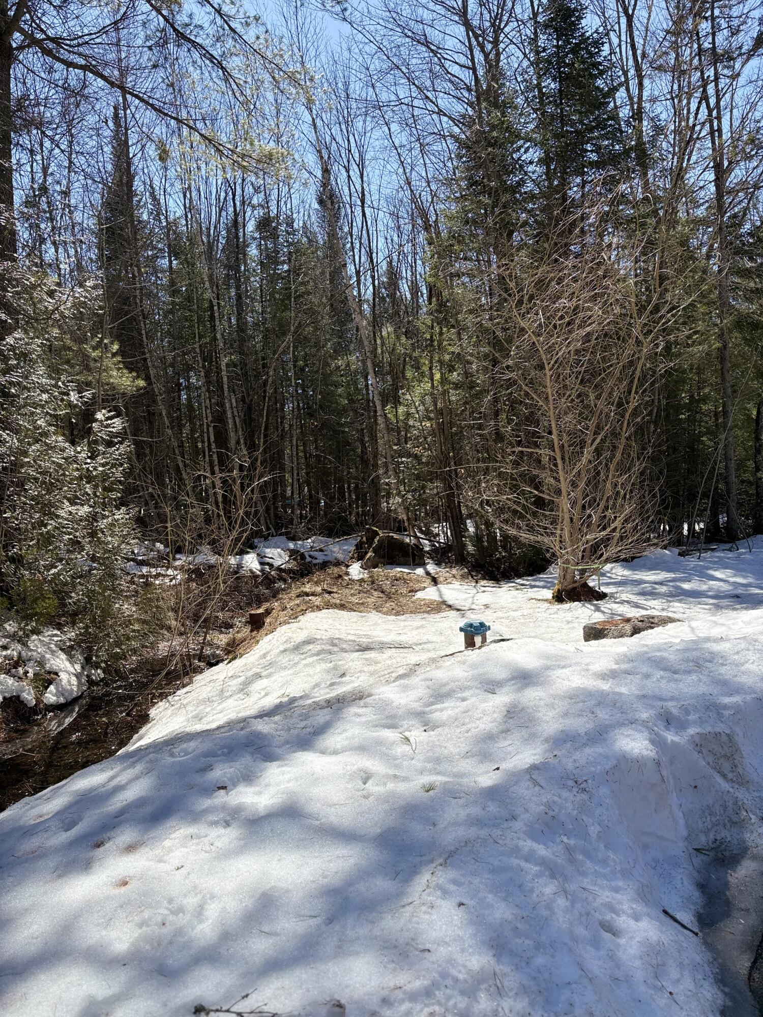 24 Conejo Lane Buckfield ME 04220