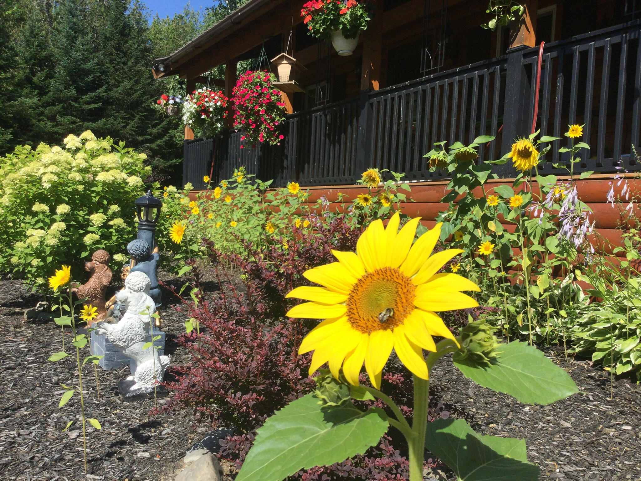 291 River Road Milo ME 04463