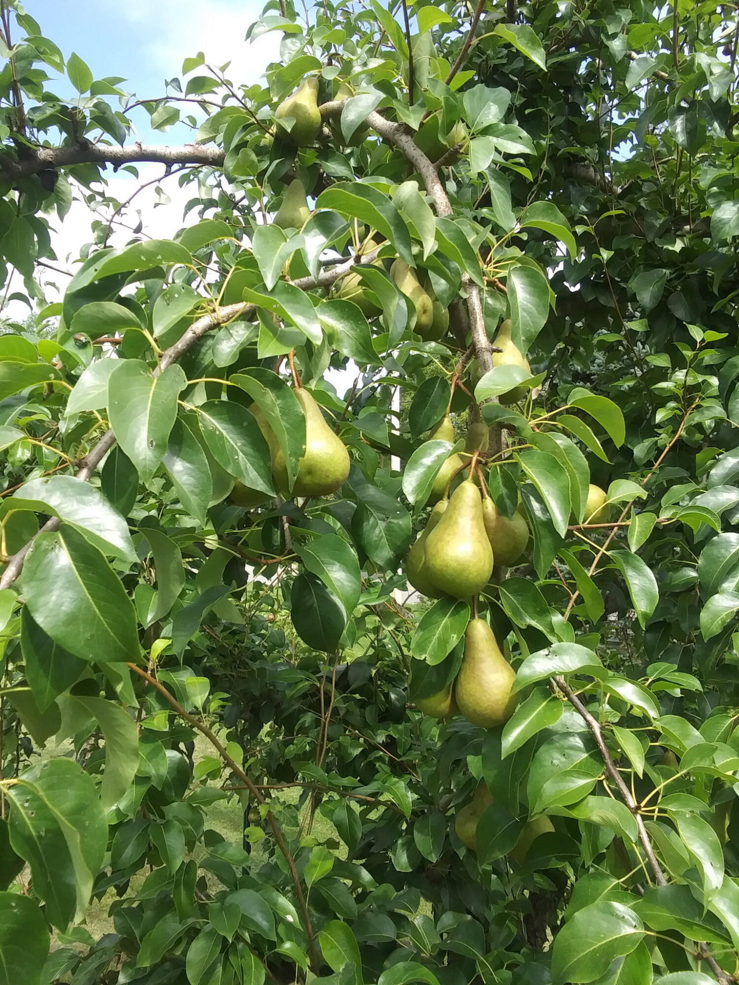 679 Neck Road China ME 04358