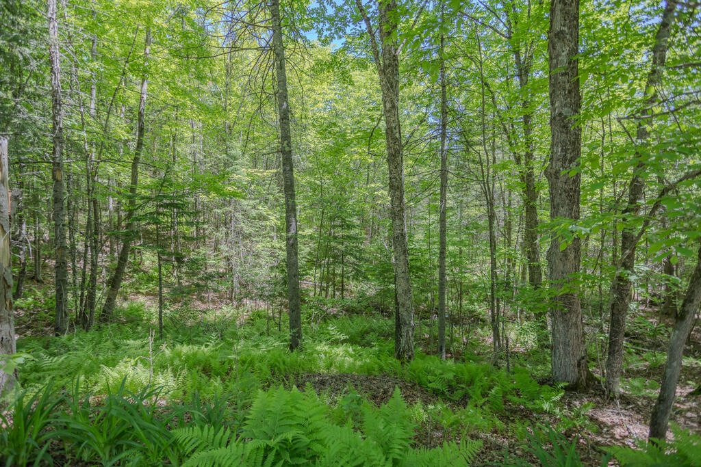 1515 Industry Road Industry ME 04938