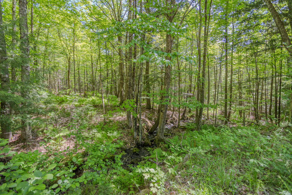 1515 Industry Road Industry ME 04938