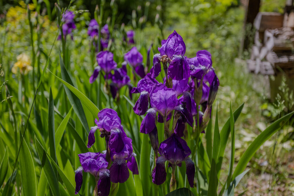 1515 Industry Road Industry ME 04938