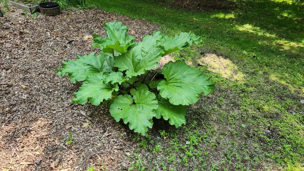 1515 Industry Road Industry ME 04938