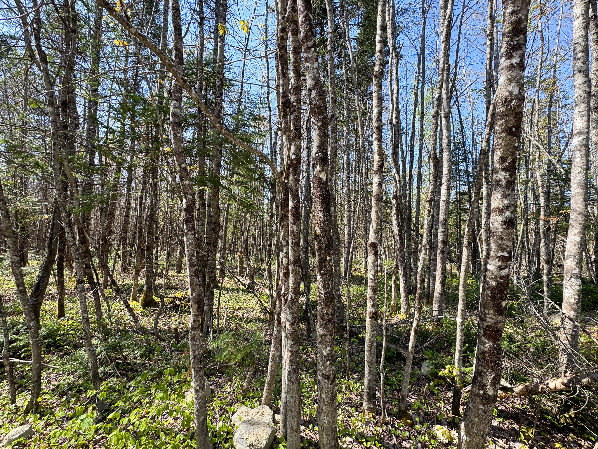 153 Colegrove Road New Portland ME 04961