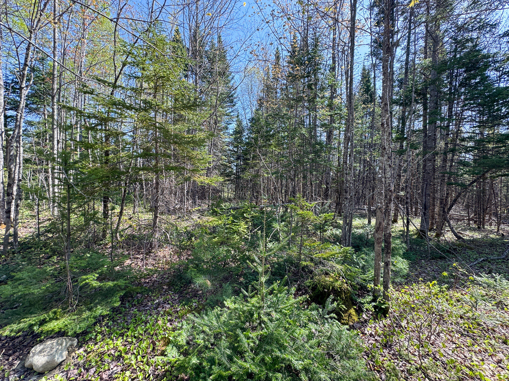 153 Colegrove Road New Portland ME 04961