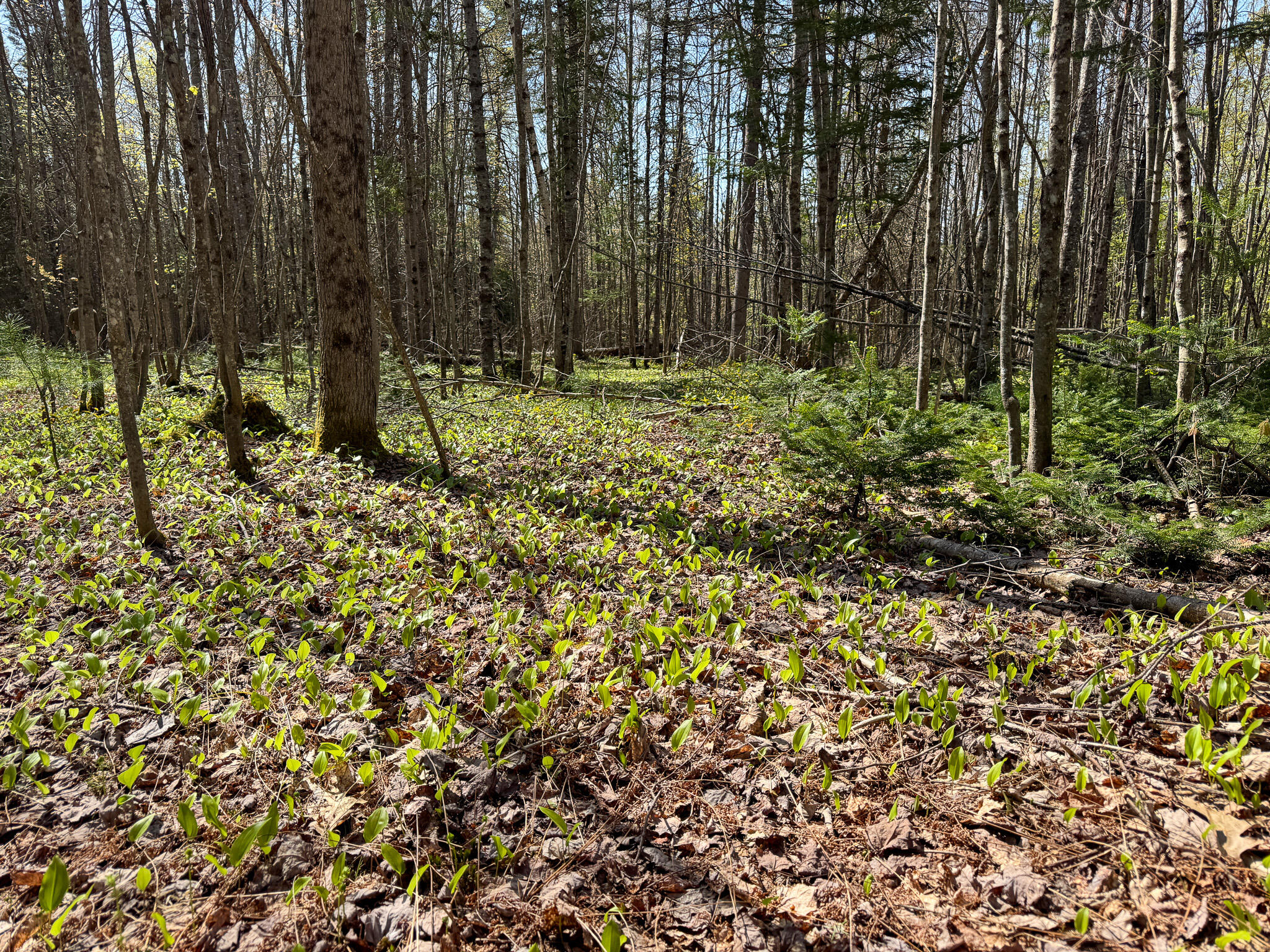 153 Colegrove Road New Portland ME 04961