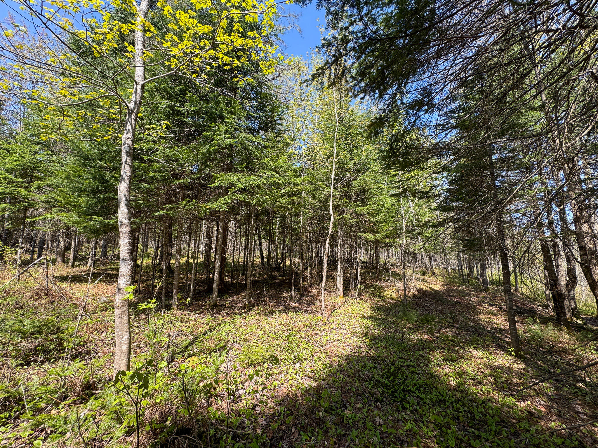 153 Colegrove Road New Portland ME 04961