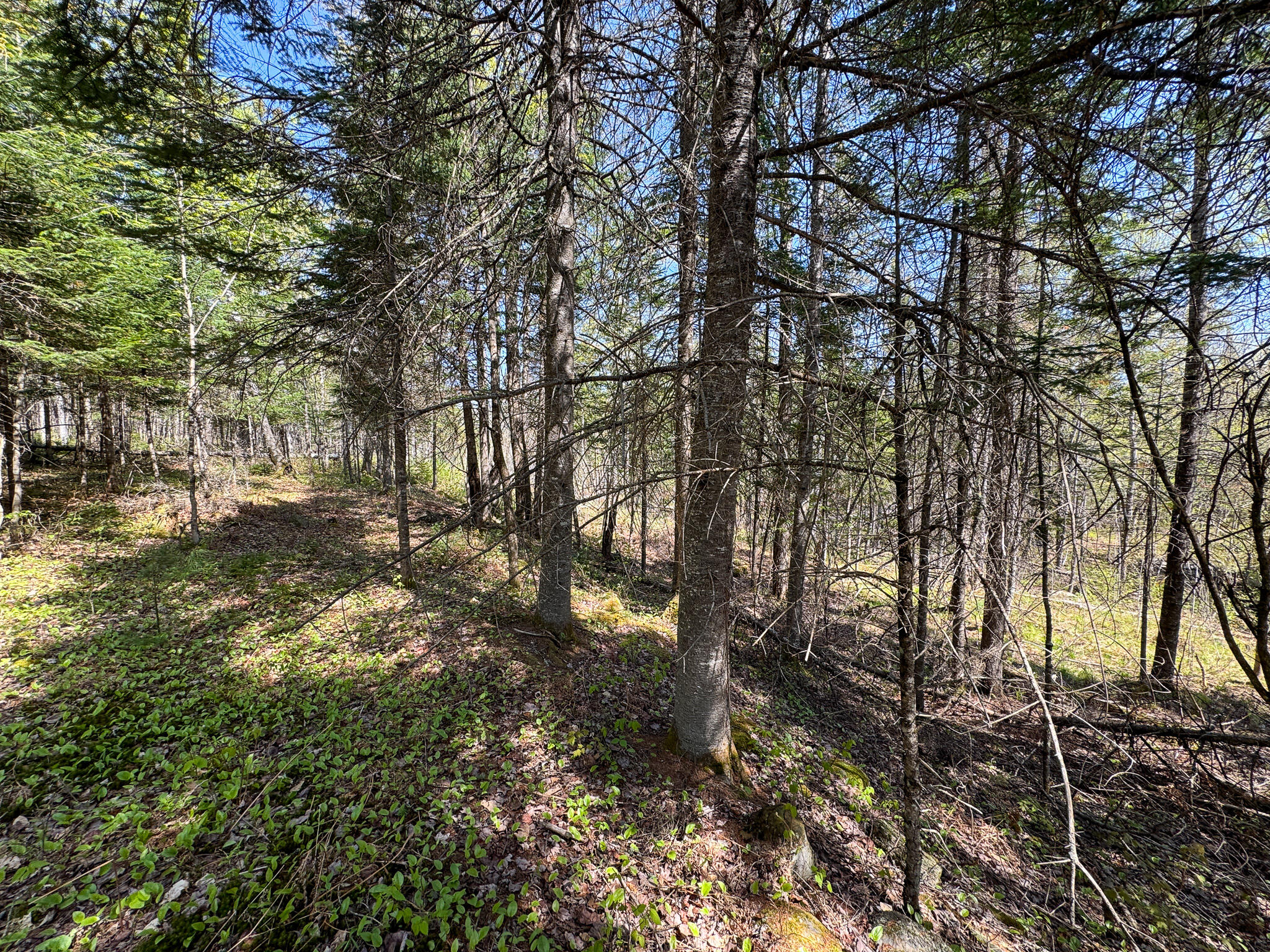 153 Colegrove Road New Portland ME 04961