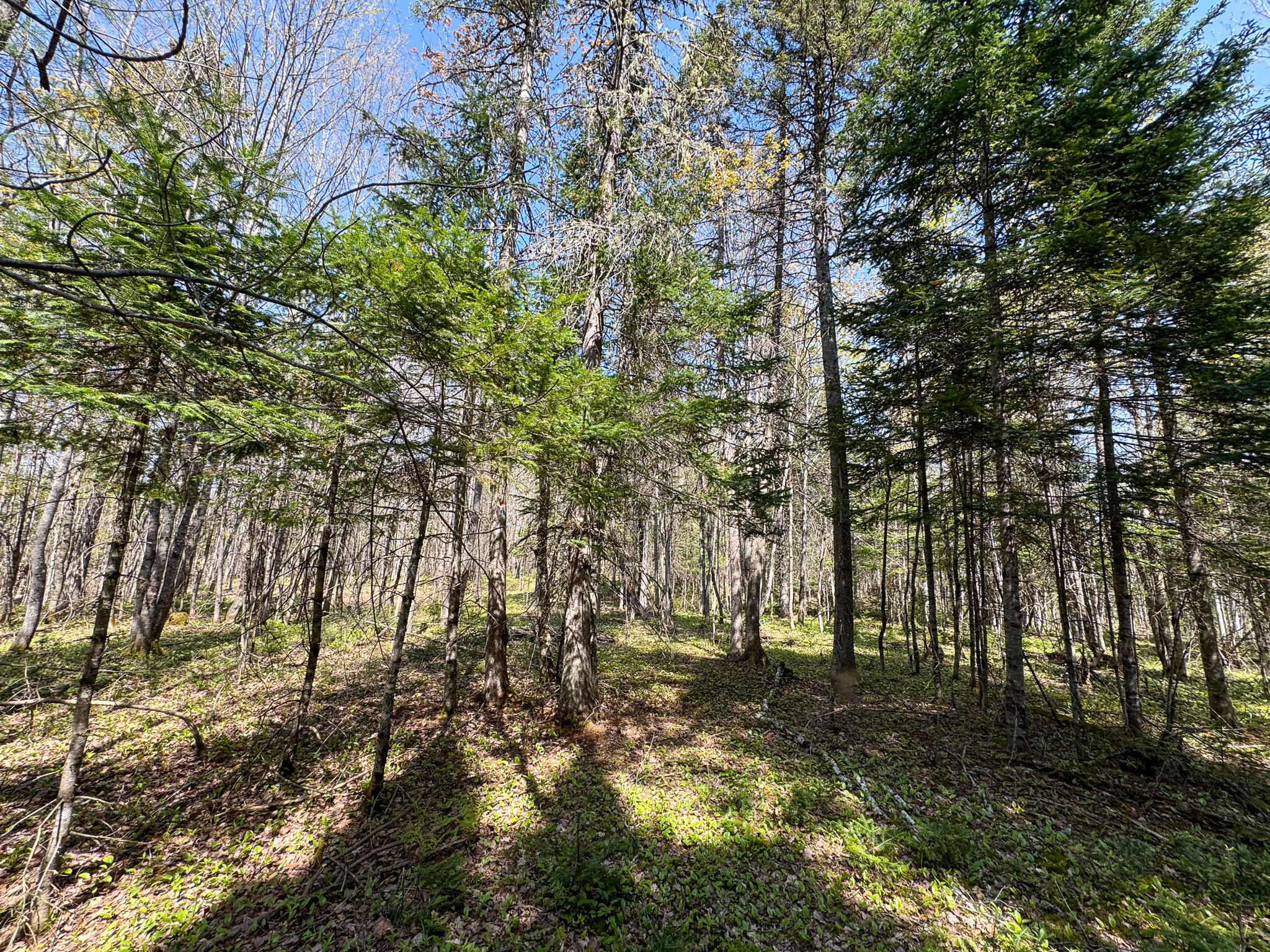 153 Colegrove Road New Portland ME 04961