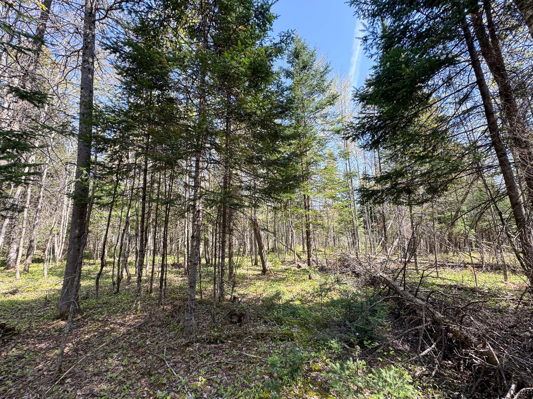 153 Colegrove Road New Portland ME 04961