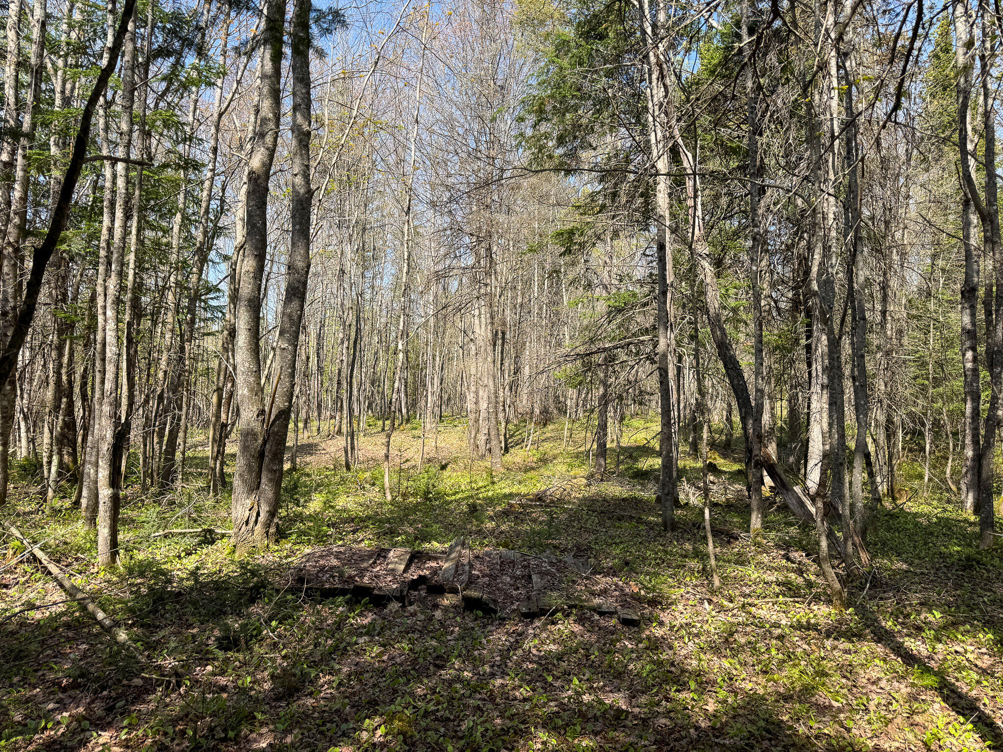 153 Colegrove Road New Portland ME 04961