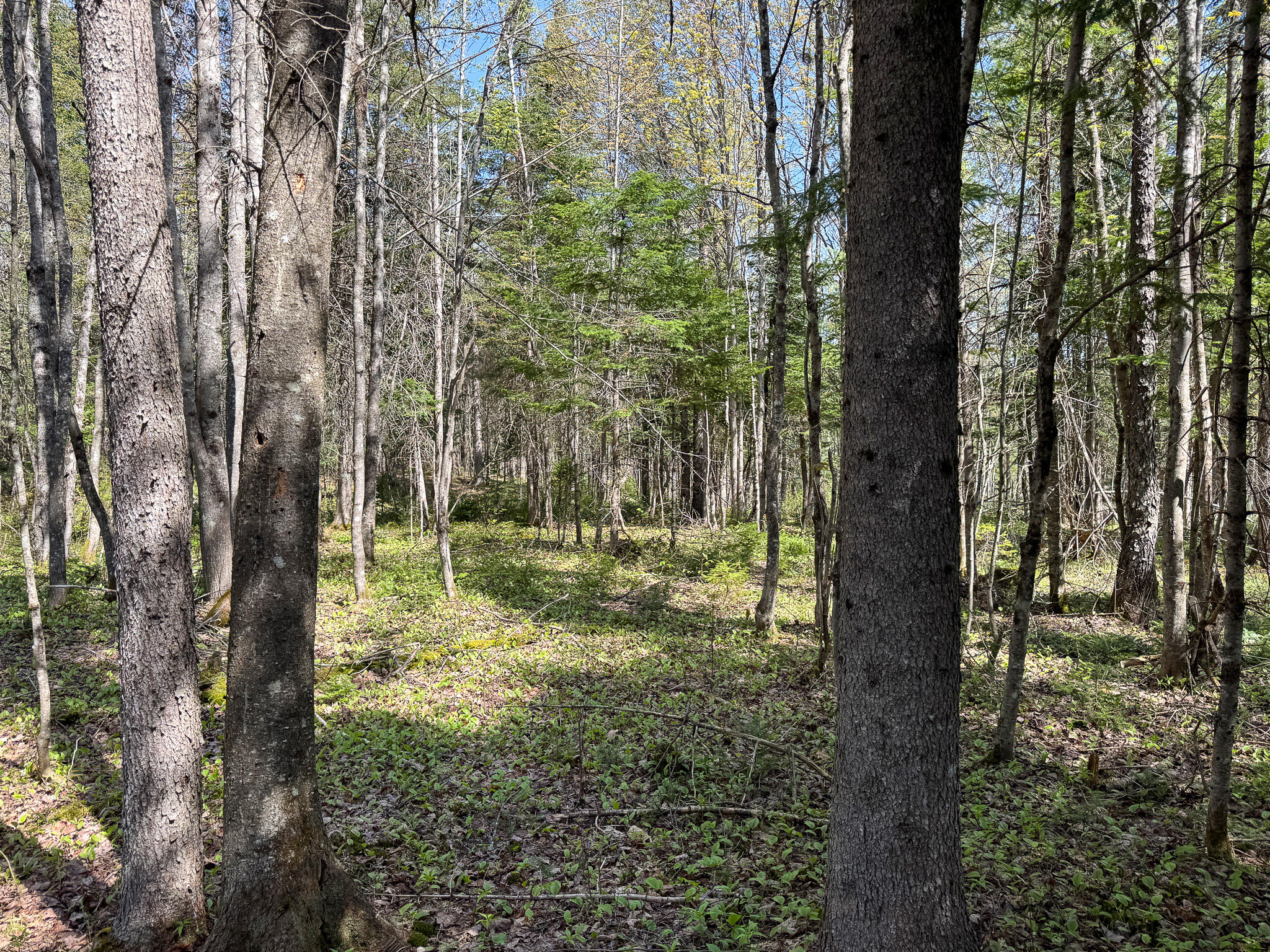 153 Colegrove Road New Portland ME 04961