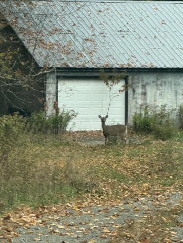 176 Millet Road Garland ME 04939