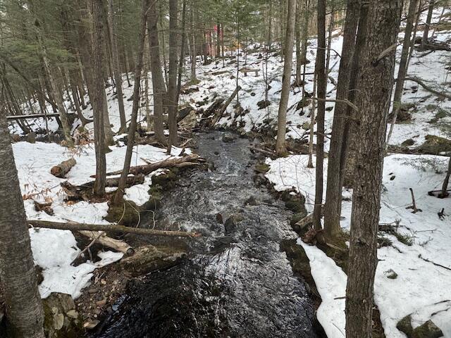 10 Little Falls Drive Concord Twp ME 04920