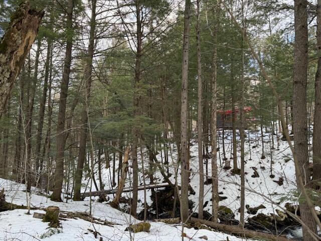 10 Little Falls Drive Concord Twp ME 04920